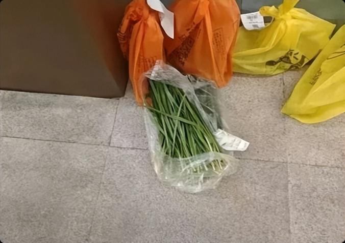 世界杯新闻-飘得这么快？铜梁龙主场海报喧宾夺主+票价虚高，球迷送韭菜抗议